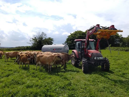 Rosette, victime des dépôts sauvages à Sains-du-Nord