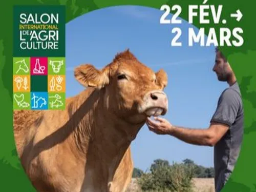 De l’or et du bronze pour la boucherie Bouillon à Avesnes