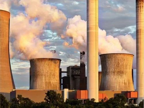 Méduses : quand la nature paralyse l'une des plus grandes centrales...
