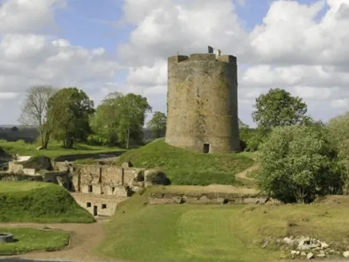 Hirson / Guise : une augmentation du nombre de chauves-souris 