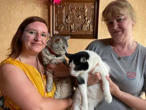 Wignehies : appel aux dons lancé par « Chats libres Piens » 