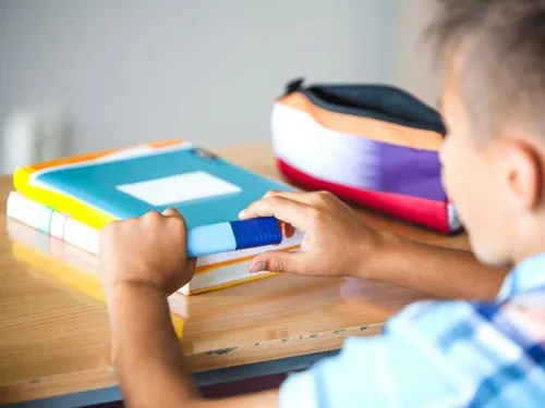 La Cité scolaire Dupleix à Landrecies recherche un professeur de...