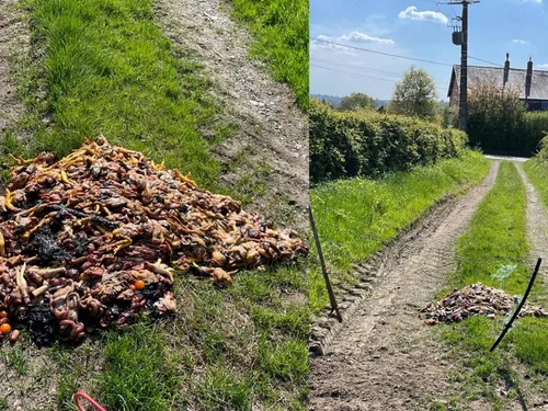 Étrœungt : un appel à témoins après une scène d’horreur 