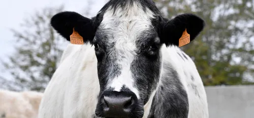 Agriculture - Les Hauts-de-France, Région "aidante"