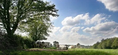Le Quesnoy : une fête du Lait pour soutenir les éleveurs et...
