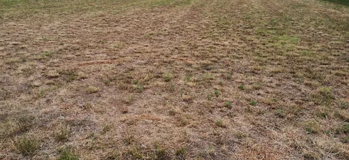 Météo: la Moselle placée en alerte sécheresse