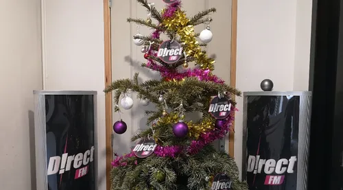 Metz : que faire de son sapin après les fêtes de Noël ?