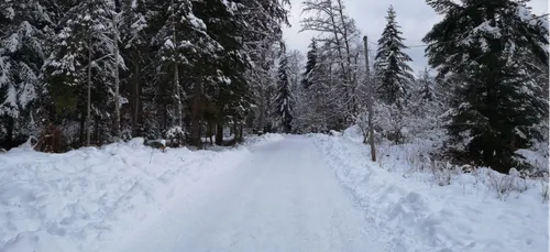 Vosges : Beaucoup de monde sur les pistes ce week-end