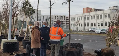 Metz : Plantation d’une centaine d’arbres sur le parking rue des...