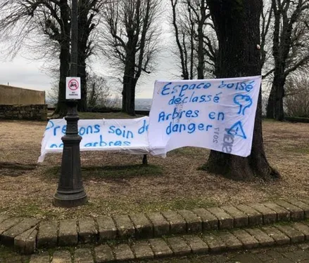 Moselle: Quel est le projet pour la Place des Marronniers à...