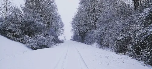 Lorraine: jusqu'à 7 cm de neige ce mardi soir