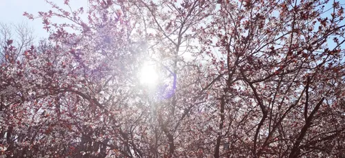 Météo en lorraine : du soleil et 25° ce mercredi