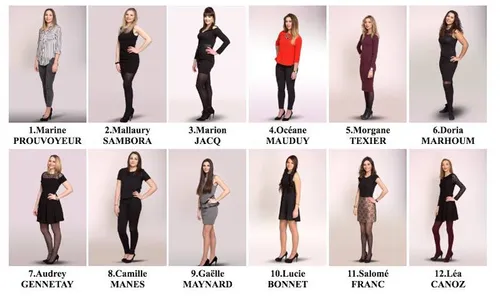 Election de Miss Limoges 2017 samedi soir au centre Jean Moulin