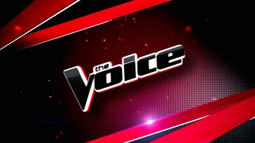 THE VOICE 6 : Une nouvelle candidate du casting Flash FM passe les...
