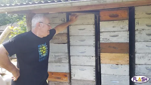 Les abeilles en voie de disparition, le syndicat des Abeilles du...
