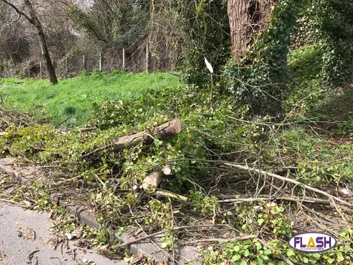 (Mis à jour) Tempête : En Limousin à 16h : 72 000 foyers privés...