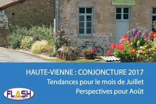 Les premières estimations contrastées de la fréquentation...