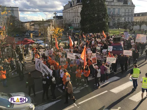 Manifestation contre l'abattage des Vaches gestantes à l'abattoir...
