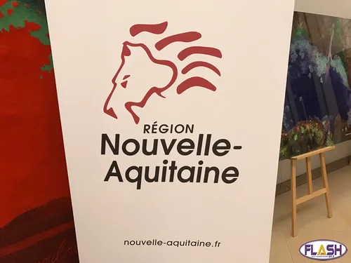 La région Nouvelle Aquitaine accompagne 4 projets innovants en...