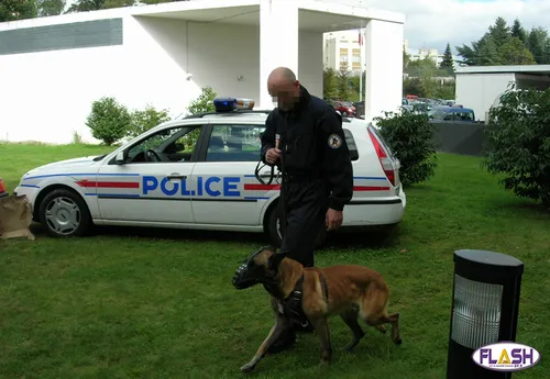 Prison ferme pour 3 individus interpellés après un vol de voiture...