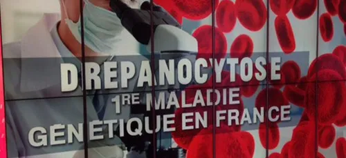 Un nouveau traitement contre la drépanocytose