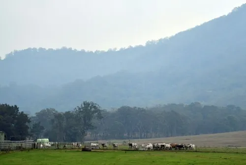 Enfin de la pluie en Australie !