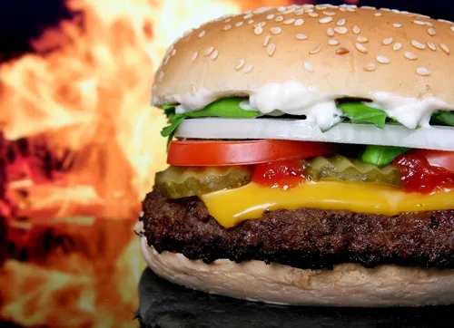 Etre payé à manger des burgers