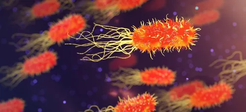 Découverte par hasard d'une cellule capable de s'attaquer à tous...