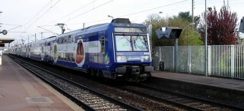 Une femme arrête deux voleurs dans le RER B et la vidéo des faits...