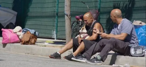 Ce vétérinaire sillonne les rues pour soigner gratuitement les...