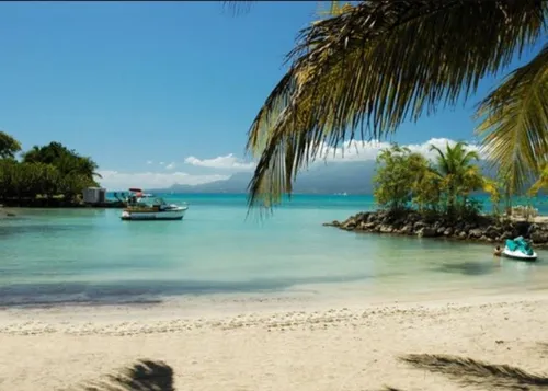 En Outre-mer, la campagne municipale au rythme du zouk, de la salsa...