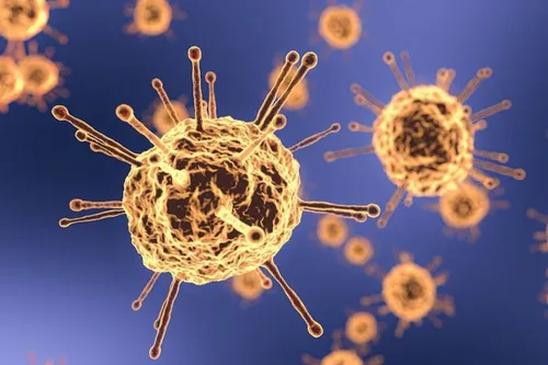 Coronavirus : l'avis du Conseil Scientifique pour les Outre-mer