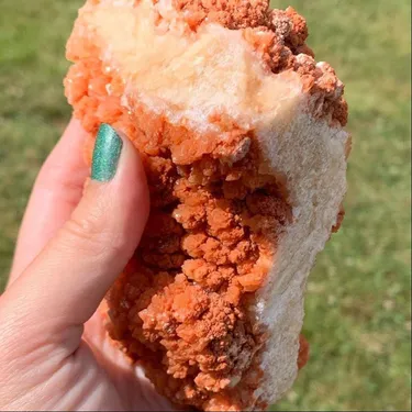 Elle découvre un cristal précieux qui ressemble à un… tender de...