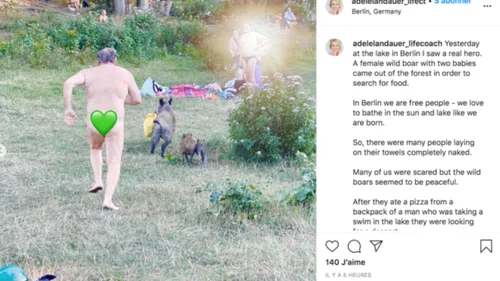 Nu, il se fait voler son sac par un sanglier et lui court après