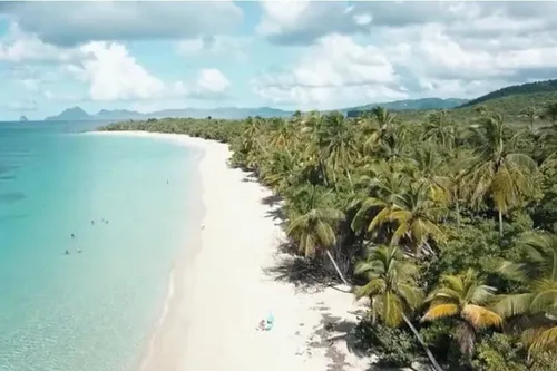Une carte postale musicale pour promouvoir la Martinique, en pleine...