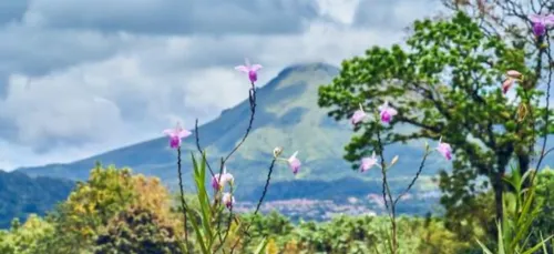 Échappées Belles en Martinique