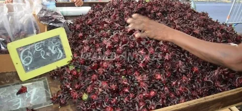 La groseille pays à l’honneur en Martinique