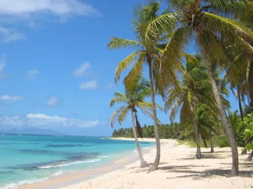 Vers un nouvel assouplissement des mesures sanitaires en Guadeloupe