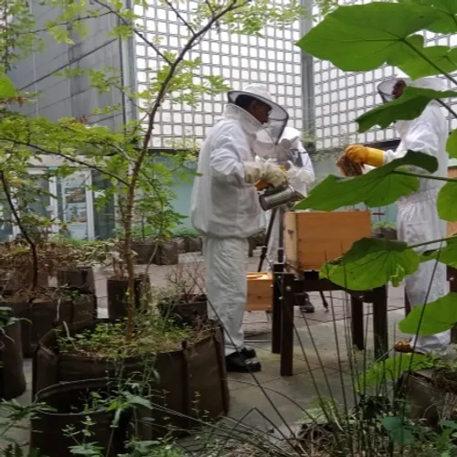 L'univers fascinant du miel de l'Institut du Monde Arabe (IMA) à...