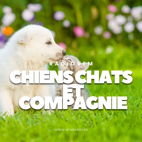 Chiens Chats Et Compagnie - 08 09 2025
