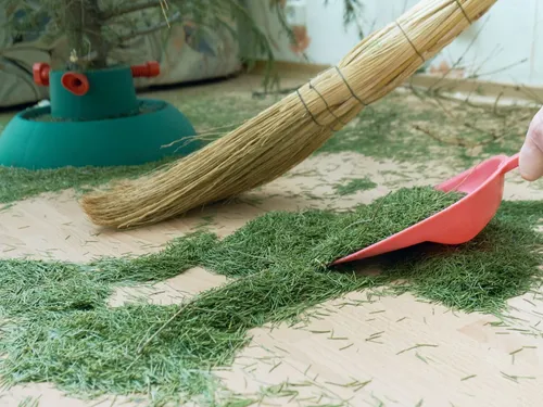 [ SOCIÉTÉ ] Le sapin commence à perdre ses épines.