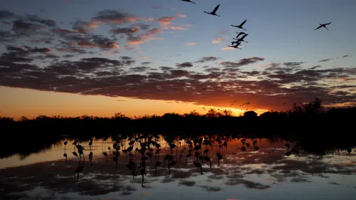 [ ENVIRONNEMENT ] Parc naturel de Camargue : la révolution attendra