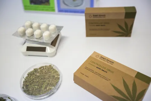 [ Santé ] Cannabis thérapeutique : une prolongation d'un an, mais...