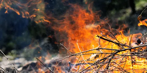 [ PREVENTION ] Incendies en forêt: Météofrance met en place un...