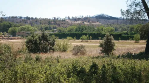[ SECURITE ] Bouches-du-Rhône : le massif forestier de la...