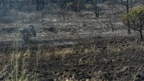 [ ENVIRONNEMENT ] Vigilance rouge pour les départs de feux