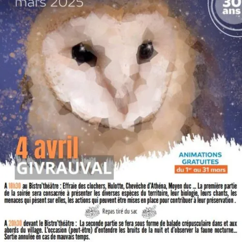 L'invité du jour : on vous dit tout sur la Nuit de la chouette à...