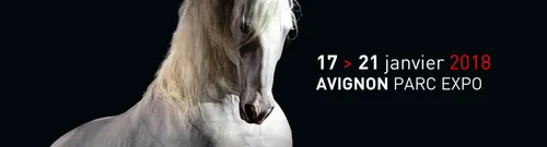 Cheval Passion, le plus prestigieux des salons équestres.
