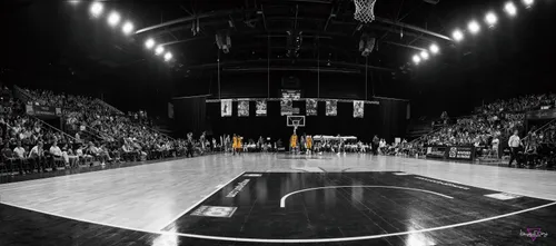 Basketball-LidlStarLigue: Objectif playoffs pour le Fos Provence...