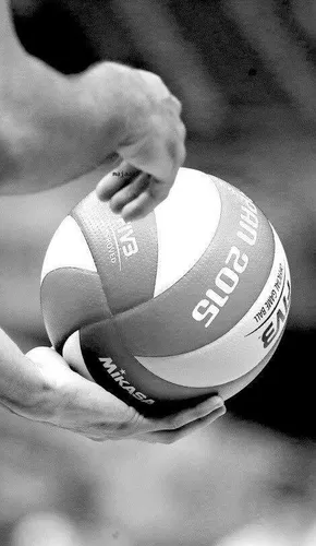 [ SPORT - VOLLEYBALL ] LES FILLES DU VBA ACCEDENT A LA N2